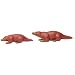 PLATYPUS by Noah's Pals