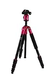 KING Fotopro 自由雲台+中型カラーアルミ三脚 レッド C-4i R 71657