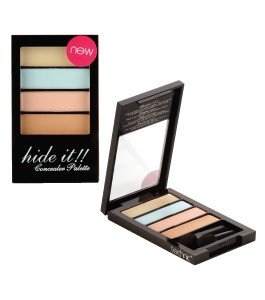 Technic Hide It!! Concealer Palette - 4 Shades