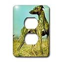 Dogs Greyhound - Brindle Greyhound - Light Switch Covers - 2 plug outlet cover