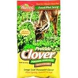 Pro-Vide Clover Chicory Forage, 2 Lbs