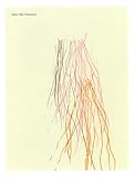 Mike Mills - Fireworks