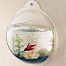 Wall Mounted Acrylic Fish Bowl