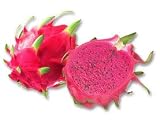 20 PURPLE DRAGON FRUIT (Pitaya / Pitahaya / Strawberry Pear) Hylocereus Undatus Cactus Seeds