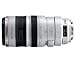 Canon Zoom Telephoto EF 100-400mm f/4.5-5.6L IS (Image Stabilizer) USM Autofocus Lens