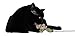 3CatS Mouse Cat Toy - Cat Toy Wand with String and Catnip Inside (Single Unit)