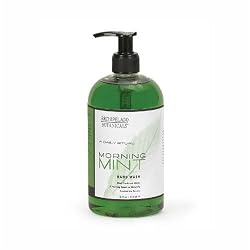 Archipelago Botanicals Morning Mint Hand Wash - 16 oz