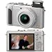 Panasonic DMC-LX3S 10.1MP Digital Camera with 2.5x Wide Angle MEGA Optical Image Stabilized Zoom (Silver)