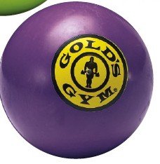 Purple – Gold’s Gym Rubber Balls Dog Toys