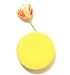 Chive Wall Dot Yellow Vase