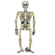 Skeleton Cut Out 58 inch