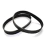 Fantom Generic Fury Belts
