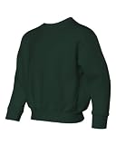NuBlend SUPER SWEATS Youth Crewneck Sweatshirt