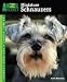 schnauzer21 - TFH ANIM PLANETMIN SCHNAUZERS