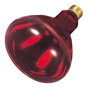 Bulbrite 714125 - 250BR40HR Heat Lamp Light Bulb