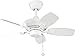 Kichler 300103WH Canfield 30IN 5-Blade Damp Location Ceiling Fan, White Finish with White Blades