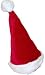 Plush Party Santa Hat Normal Sizing - No Wig Necessary