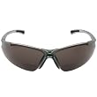 Radians Reading Bifocal Smoke C2 Safety Glasses +1.0