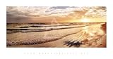 Siesta Key Art Poster Print By Alan Hoelzle 38x20