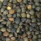 Lentils, French Green, USA, Organic, 25# Bulk