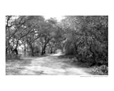 Down The Road Scenic Photographic Poster Print by Eddie Richard Martinez, 10x8
