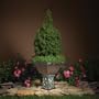 Kichler Lighting 15417VGB Ainsley Square Lighted Urn Planter 12-Volt Specialty Light, Verdigris with Aged Brass