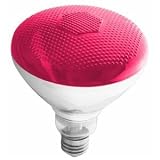 Westinghouse 04410 - 100BR38/R/FL Light Bulb