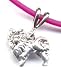Sporting Goods : 15" Fuschia Pomeranian Necklace Sterling Silver Jewelry Gift Boxed