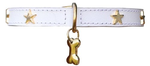 Hundehalsband – Twinkle Little Star weiß / gold 10mm breit, 20-35cm lang, Länge:20 cm