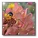 Delight- Zinnia Flower- Flowers- Macro Photography - 10x10 Wall Clock