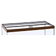 Glass Canopy, 30" x 12"