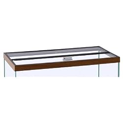 Glass Canopy, 30" x 12"