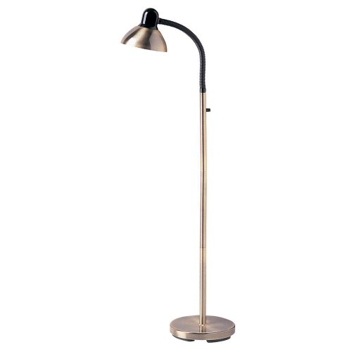 Dainolite Lighting DM238-F-AB Gooseneck Floor Lamp, Antique Brass and Gloss Black Finish On Sale