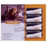 Advantage Orange Cat Small 4pk
