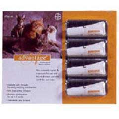 (Price/1)Advantage Orange Cat Small 4pk