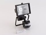 Kitchen & Housewares : Byron Es65 Security Flood Light 150w