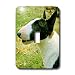 Dogs Miniature Bull Terrier - Miniature Bull Terrier - Light Switch Covers - single toggle switch