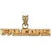 14k Yellow Gold Atlanta Falcons Pendant 4x26mm