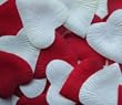 Heart Shaped Silk Rose Petals Wedding Favors Decor - 200 Count - White & Burgundy
