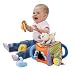Animal Shape Sorter