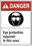 Eye Protection Required In This Area (Eye Protection Picto) [7X10 Plastic]