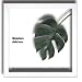 �s���[�t�A�[�g�tF-style Frame Monstera deliciosa�i�����X�e�� �f���V�I�T�j