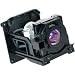 Electronics : NEC NP10LP Replacement Lamp for NP100/NP200 Projectors