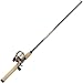 Shakespeare Two-Piece Medium Action Synergy Classic Combo (6-Feet)
