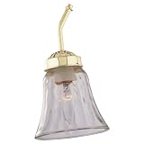 Sea Gull Lighting 1633-676 Ceiling Fan Glass Shade, Water Glass