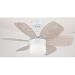 Westinghouse #78639 30"FloraRoyale Ceil Fan
