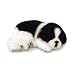 Perfect Petzzz Border Collie Dog Bundle