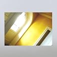 1--Umzugskomplettpaket-4-Bis-5-Zimmer-Wohnung
