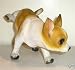 Peeing White/Tan Chihuahua Dog Lawn Garden Statue