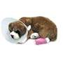 Perfect Petzzz Buster Boxer